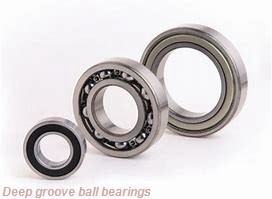 6.35 mm x 15.875 mm x 4.978 mm  skf D/W R4-2RZ Deep groove ball bearings
