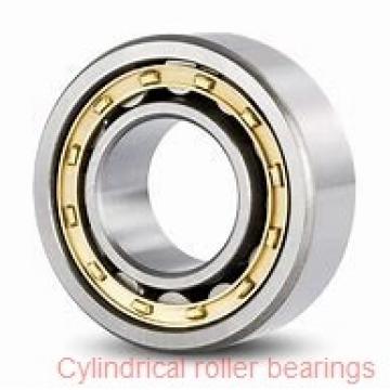 65 mm x 140 mm x 33 mm  NTN N313G1 Single row cylindrical roller bearings