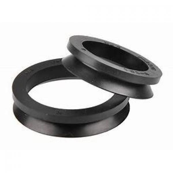 skf 430x480x25 HDS2 R Radial shaft seals for heavy industrial applications #1 image