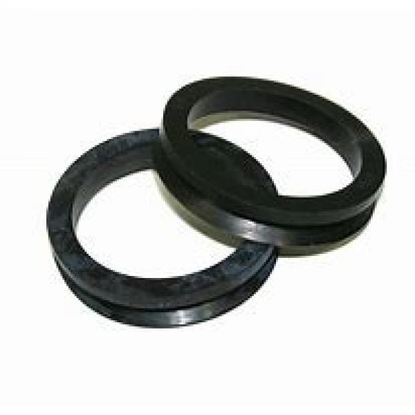 skf 1013242 Radial shaft seals for heavy industrial applications #3 image