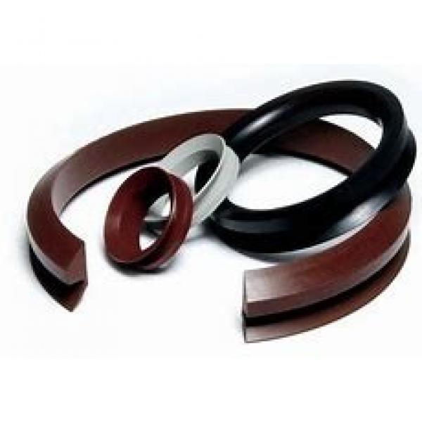 skf 6806 Radial shaft seals for general industrial applications #1 image